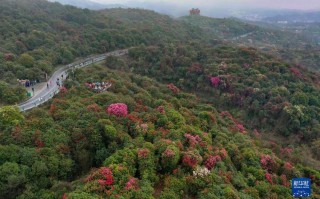 六盘水今天天气预报，六盘水今天天气预报情况？