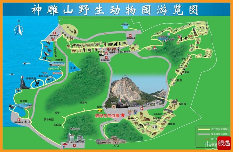 威海海驴岛风景区，山东威海海驴岛门票？-第3张图片-考拉百科