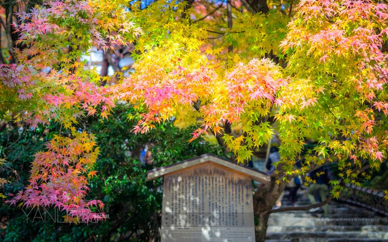 名古屋今天天气预报，今日名古屋天气预报-第6张图片-考拉百科