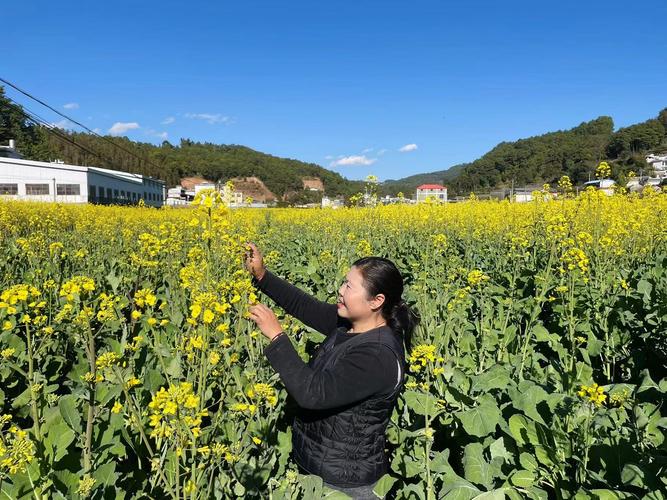 临沧双江天气预报，临沧双江天气预报当地15天查询-第2张图片-考拉百科