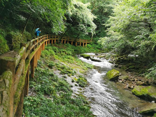 黎平天气预报30天？黎平天气预报30天查询结果表最新消息？-第4张图片-考拉百科