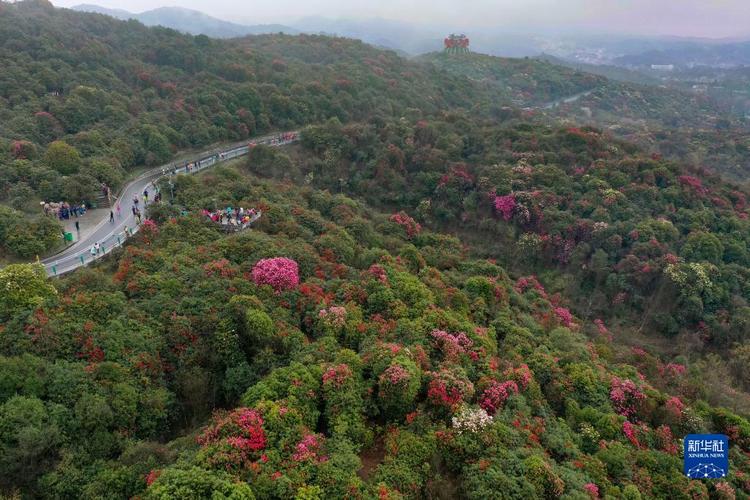 六盘水今天天气预报，六盘水今天天气预报情况？-第1张图片-考拉百科